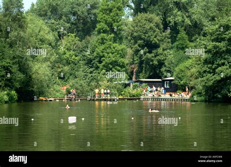 mixed bathing pond  hampstead heath london stock photo  alamy