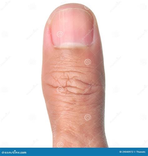 Thumb finger stock photo. Image of shot, anatomy, people - 29040972