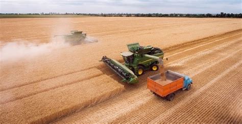 Жнива 2023: аграрії Вінниччини збирають озимий ячмінь, врожайність вища ...