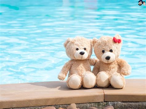 Plush Bears Wallpapers - Wallpaper Cave