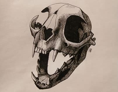 Череп Графика Projects :: Photos, videos, logos, illustrations and ...