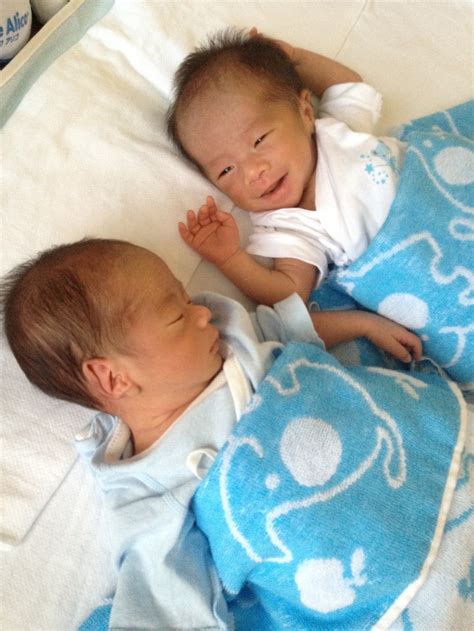 twins twin boys baby