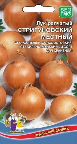 Лук Уральский дачник Лук репчатый Стригуновский местный_1 - купить по ...