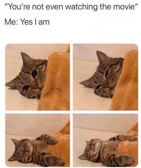 16 Animal-Related Memes That Are Just What You Need To Scrape That ...