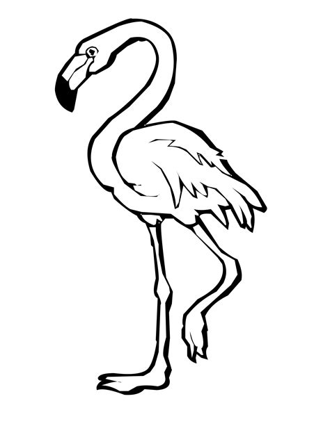 Flamingo Clipart Black And White | Free download on ClipArtMag