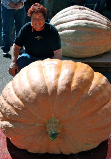 giant pumpkin patch growing giantveggiegardener