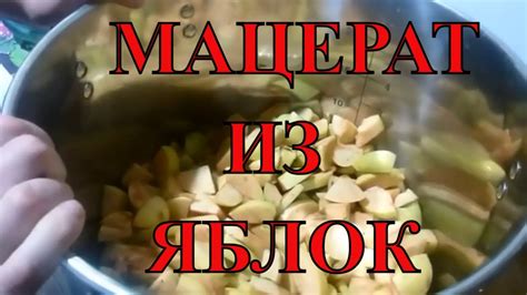МАЦЕРАЦИЯ ИЗ ЯБЛОК. ЯБЛОЧНАЯ ВОДКА - YouTube
