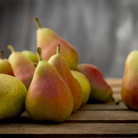 Stunning '80s Soap Opera Star, 75, Is Unrecognizable in Recent Outing