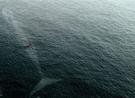 scary ocean pics  prove deep waters    terrifying place