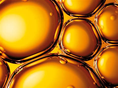 Case Study: Masana Petroleum - IsoMetrix