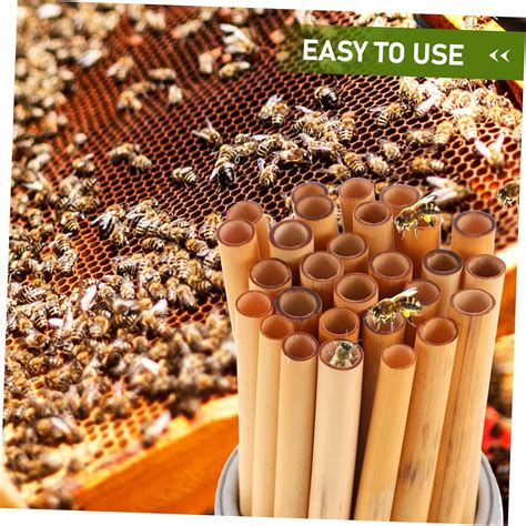 SEWACC 50Pcs bee Tube Beehive Nesting Tubes Beekeeper Replacement