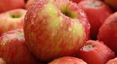 Whole fruit - Wax - Food Coating Expertise