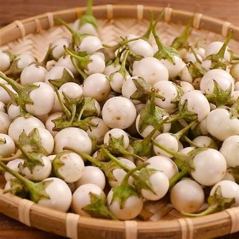 ca phao mua ve phoi nang khoang  tieng cho ca heo   thuc pho ngon