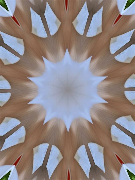 plain abstract  stock photo public domain pictures