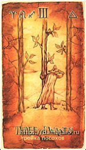 Изображения колоды карт Таро - Antique Scroll Tarot