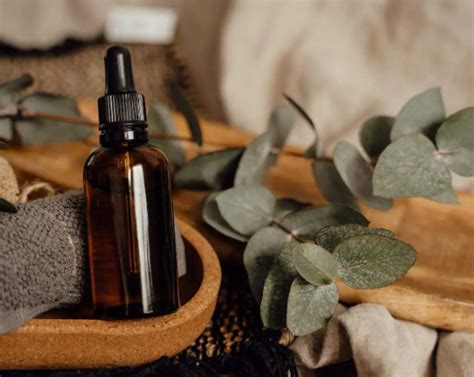 CBD vital ist magisch - Gesundheit und Wohlbefinden in Deutschland