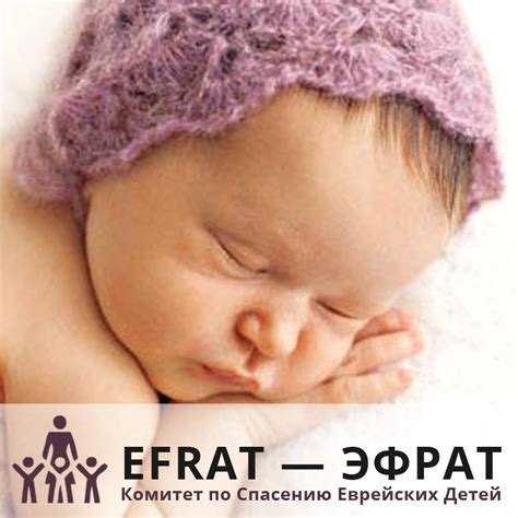Фонд Эфрат - Efrat CRIB | Jerusalem
