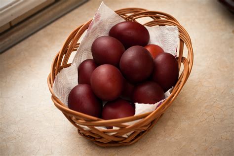 black copper maran egg color chart 3