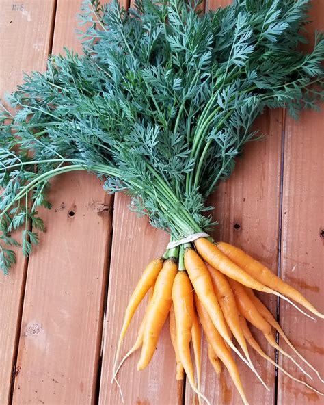 Hidden arthur name meaning roots surprise historians 4