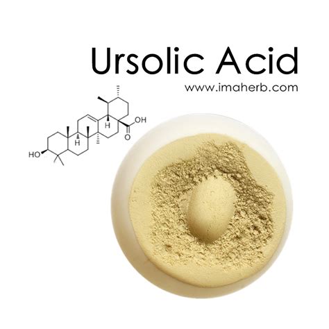 Ursolsäure, Mispel Leaf Extract, Ursolsäure Powder