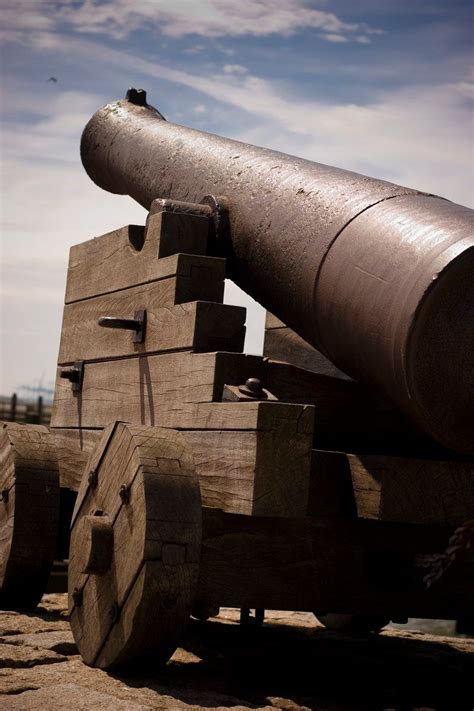 cannon  photo  freeimages