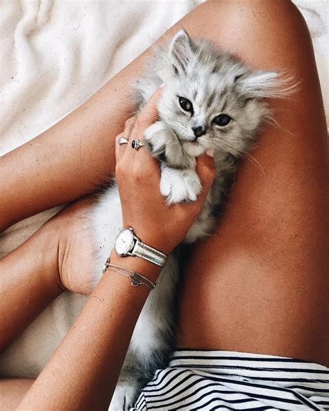 pinterest: darlynprincess ♡ Animals And Pets, Baby Animals, Cute ...