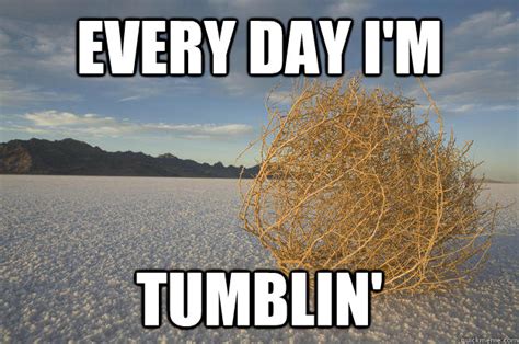 Tumbleweed meme memes | quickmeme