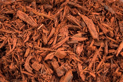 red mulch adler sons