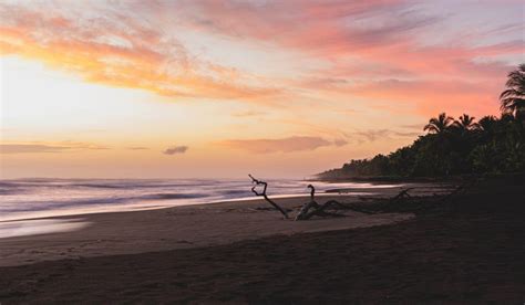 costa rica sunset - Living + Nomads – Travel tips, Guides, News ...