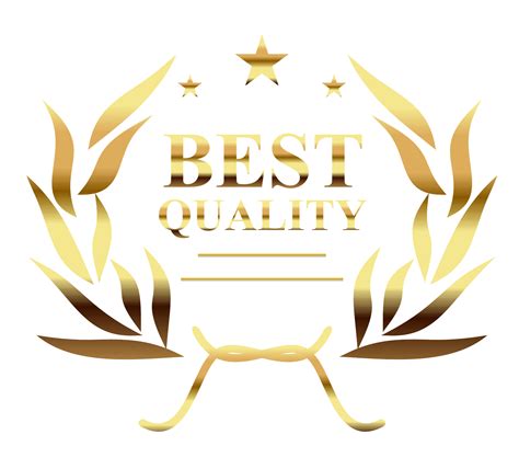 Bikini Bod Evolution Workout Program by Erin Stern Fitness