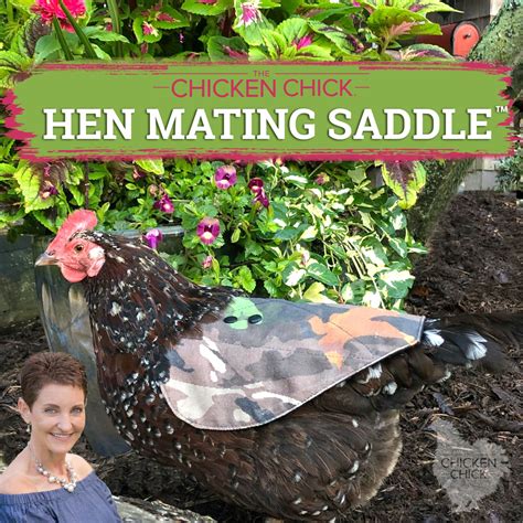 How to Sex Chickens: How to tell Male or Female, Hen or Rooster