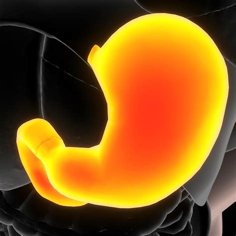 premium photo  picture   yellow  orange worm