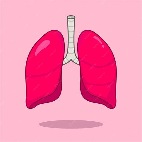 lung cartoon 4