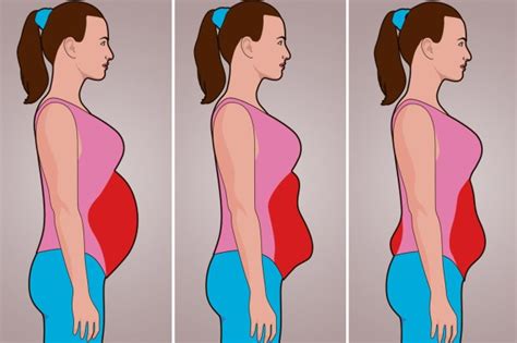There are 5 types of belly fat and here’s what they say about you – The ...
