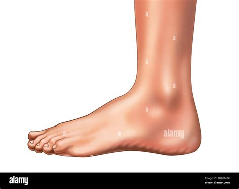 Feet Side View