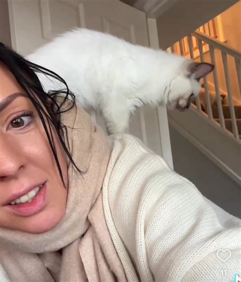 gabapentin dosage for cats 8