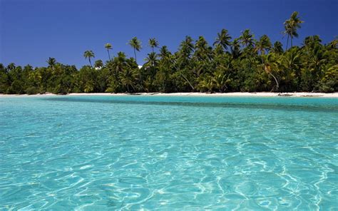 Crystal clear tropic wallpaper - Beach Wallpapers