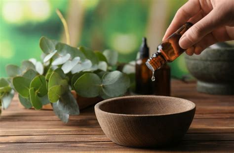 EO PIs: Unleashing the Power of Essential Oil Product