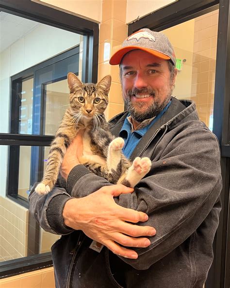 santa fe animal shelter 8