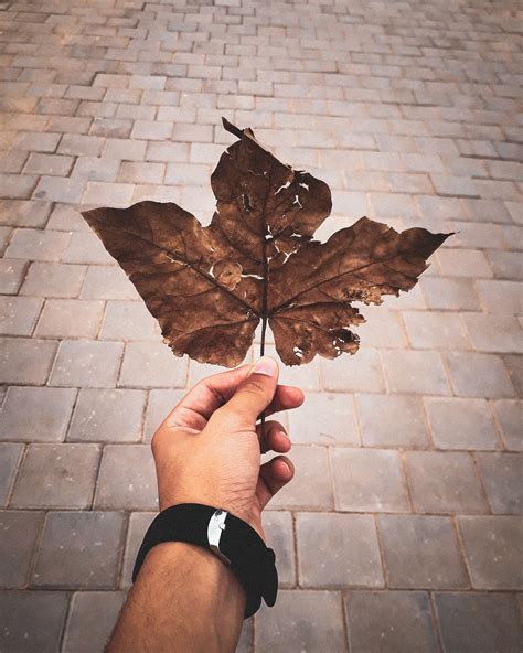 2022 Changes To Ontario Probate Form 74G - Renunciation - Support