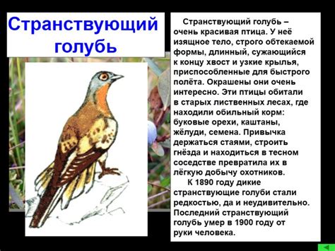 Презентация - Окружающий мир 2 класс «Красная книга»