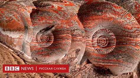 Фото: страшные шрамы на теле Земли - дело рук человека - BBC News ...