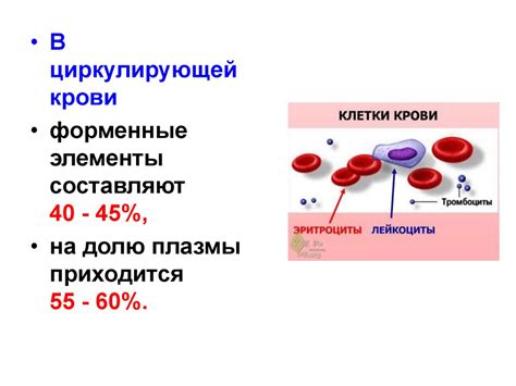 Кровь. Состав, свойства и функции крови - презентация онлайн