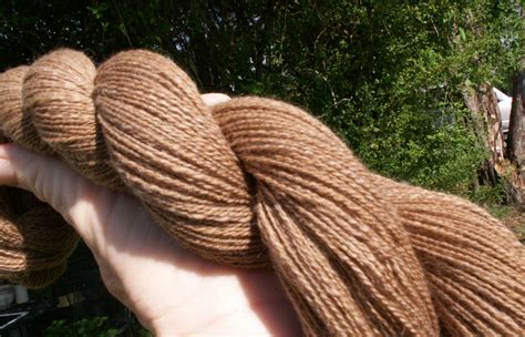Kimberly's Heirloom Crafts: Luxurious Paco-Vicuña