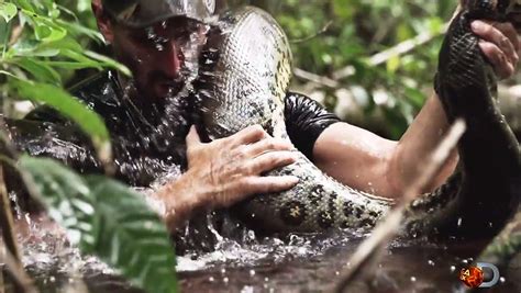 Man eaten by anaconda: Last thing I saw was her mouth