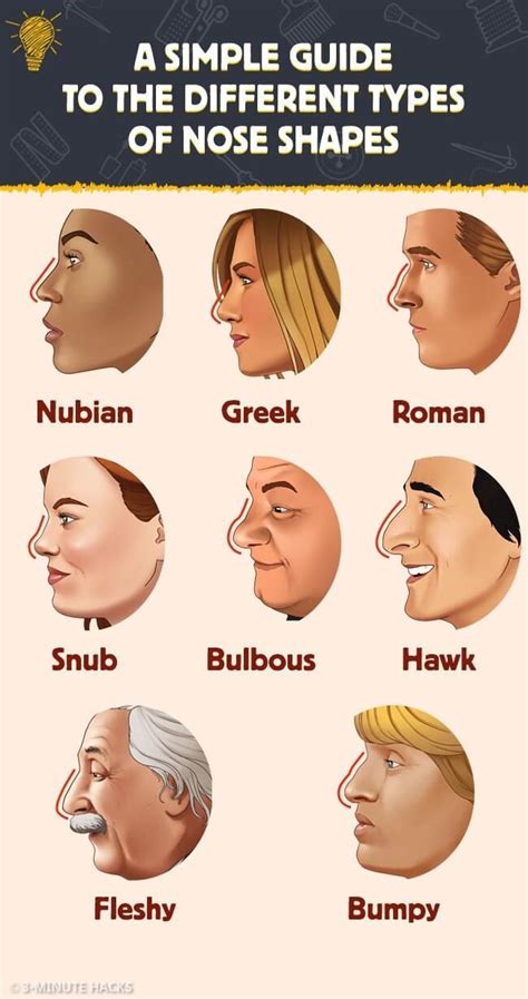 Pin by Nadja Borodina on Body | Nose shapes, Different nose shapes ...
