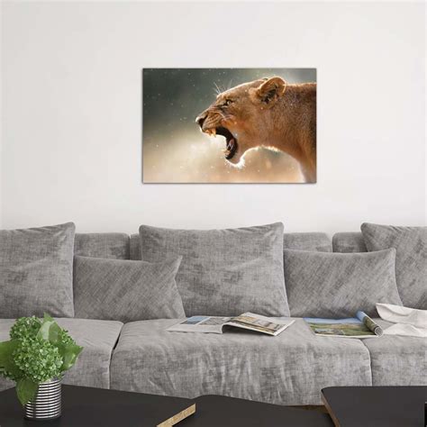 Lioness In The Rain // Johan Swanepoel (18"W x 12"H x 0.75"D