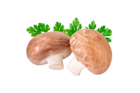 Шампиньоны Королевские, 300 г – купить по приятной цене с доставкой на ...