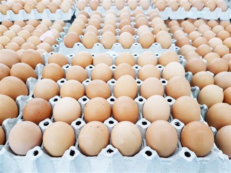 premium photo eggshell ingredient