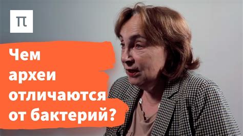 Археи — Елизавета Бонч-Осмоловская / ПостНаука - YouTube